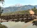 Footbridge at Yucaipa Regional Park