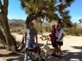 Jerry & Friends, Margo & Dave, at Joshua Tree National Park