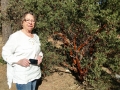 Mom on Hike at Idyllwild