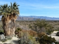 Anza Borrego State Park - Visitor Center