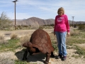 Galleta Meadows - Sky Art Sculptures - Kim at Giant Tortoise  Sculpture