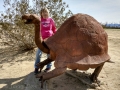 Galleta Meadows - Sky Art Sculptures - Kim at Giant Tortoise  Sculpture