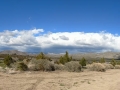 Stagecoach Trails RV Resort - Desert Vista