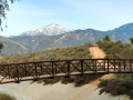 Yucaipa Regional Park - Foot Bridge