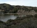 Yucaipa Regional Park - Lake