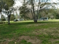 Yucaipa Regional Park - Lawn Area