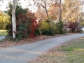 Yucaipa Regional Park - Sites